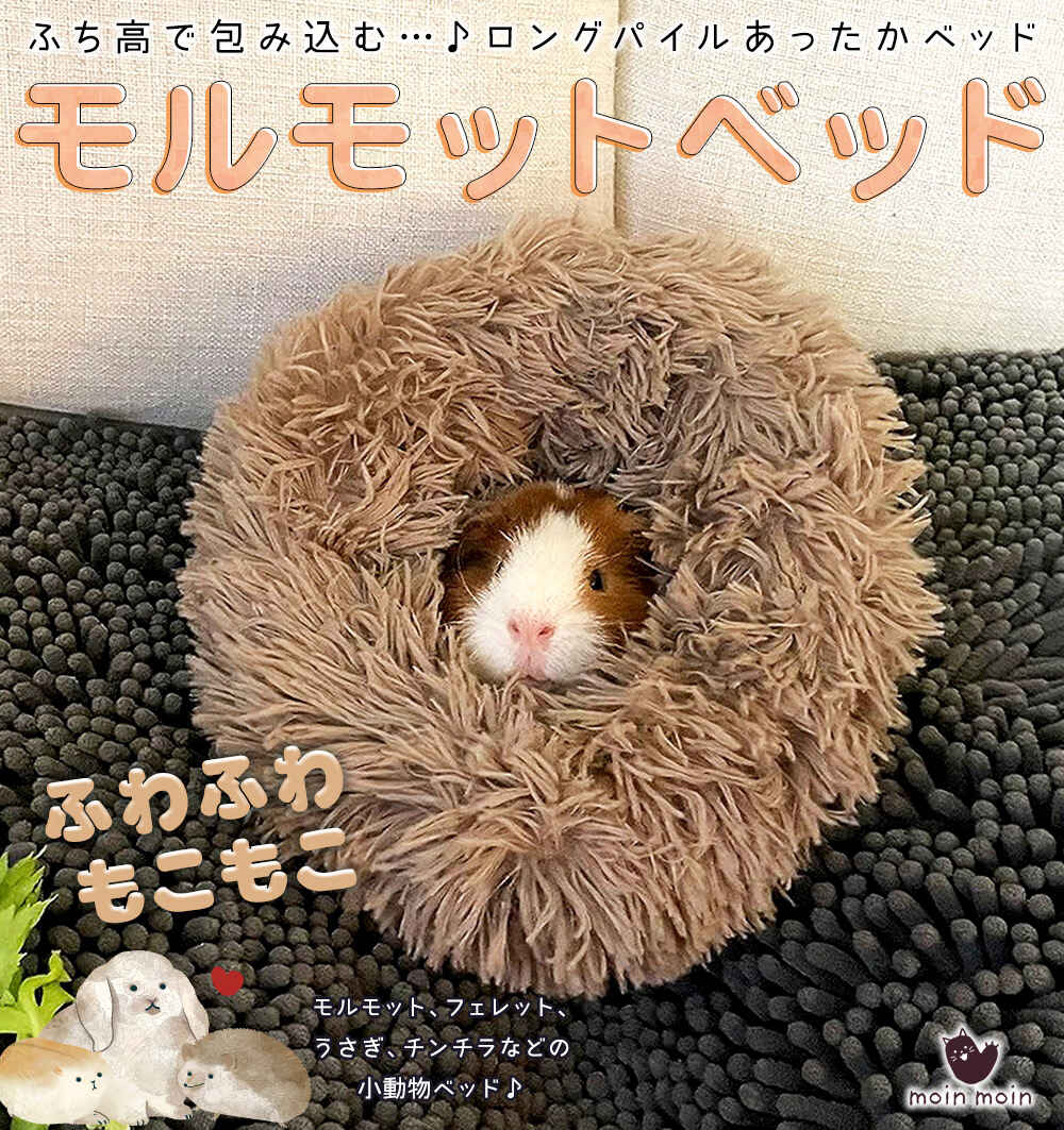 最短当日出荷◆モルモット ハリネズミ チンチラ デグー フェレット プレーリードッ...