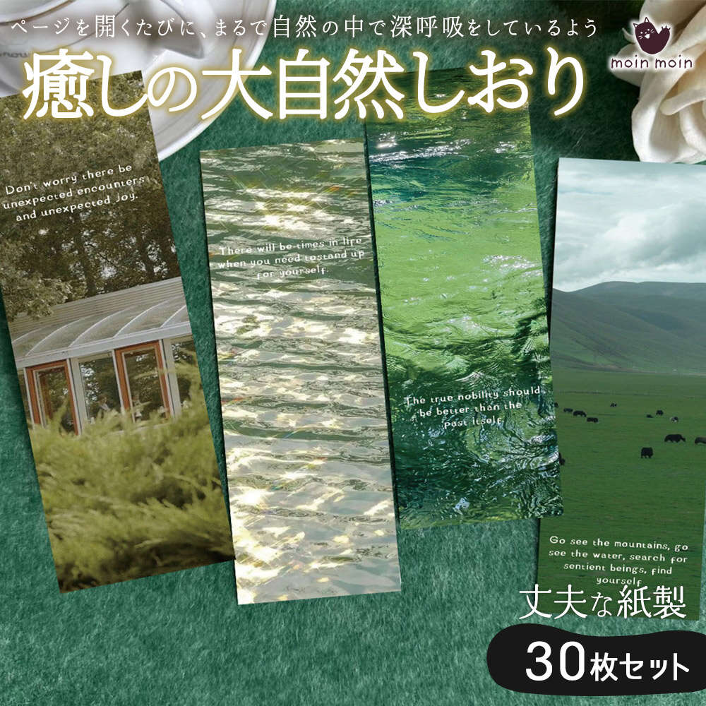 ��û�����в٢������� �֥å��ޡ��� �Ҿ� ���� ���� 30�� �� ���꡼�� ��ʸ ��å����� Ʃ���� ���� ��� �ץ쥼��� �ɽ񹥤� �̿� �Ҿ� ưʪ ���˥�...