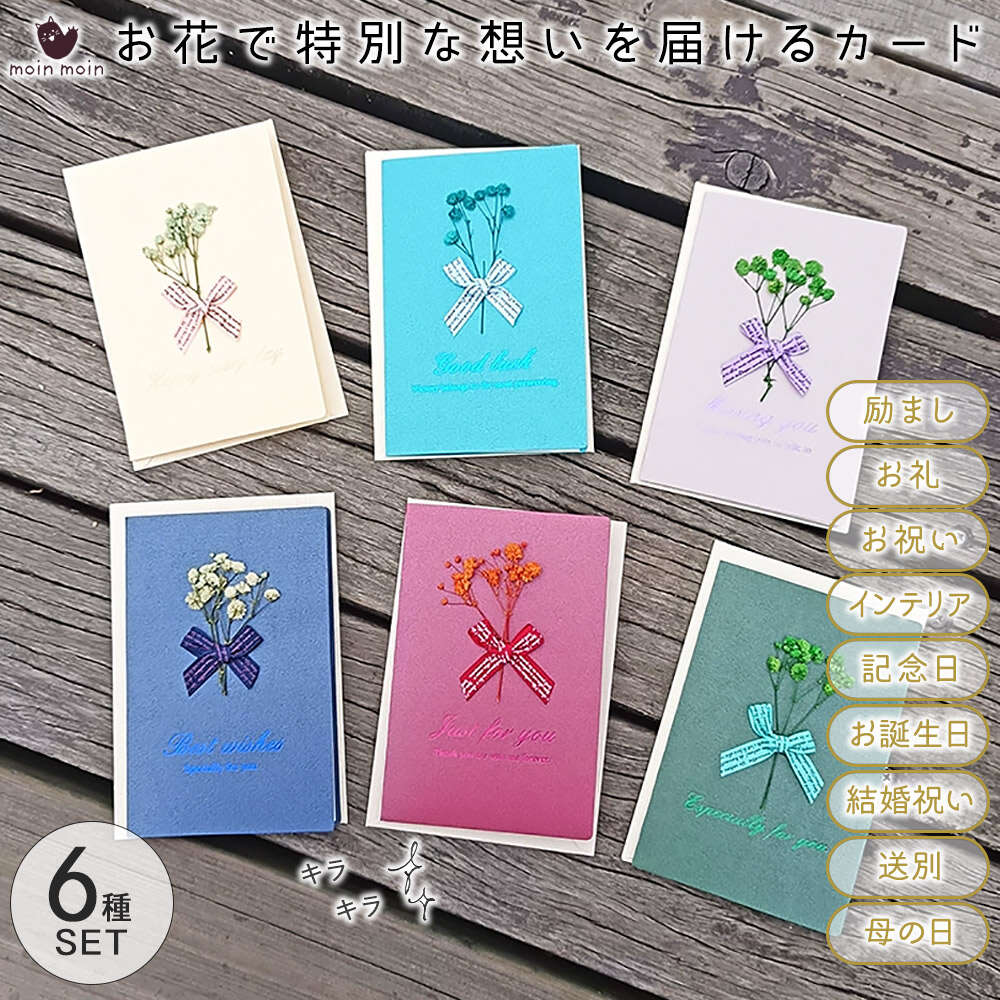 Rakuten - 最短当日出荷◆メッセージ カード 中紙+封筒付 [6種セット] ドライフラワー グリーティングカード 本物の花 フラワー リボン チェック 手作り 箔押し 誕生日 結婚祝い お礼 感謝 母の日 記念日 お祝い ギフト 箔押し きらきら カスミソウ