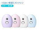 ハンディミスト 電動 USB充電式 霧状 スプレー 保湿...