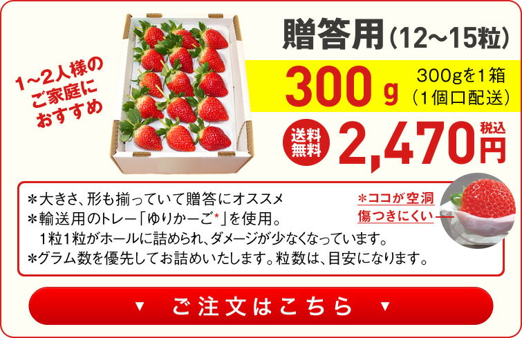 いちご 苺　ホール詰め 300g x 1箱 (贈答用)　／栃木県産 とちおとめ 貞ちゃん いちご とちおとめ(栃乙女) 送料無料 | 苺 イチゴ 生いちご 栃乙女 tちゃん お祝い 会社 職場 大量 法人 食べ物 お年賀 バレンタイン 成人祝い プレゼント ギフト 御見舞 お土産[YENY]格安通販　バレンタイン　人気　ランキング