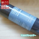 パルセイユ シャンプー 300ml ; オーガニック 無添加 ナチュラル 天然 頭皮 植物 BIO ノンケミカル 自然 ヘアケア 頭皮ケア 国産コスメ スカルプシャンプー PALSEYLLE(4)