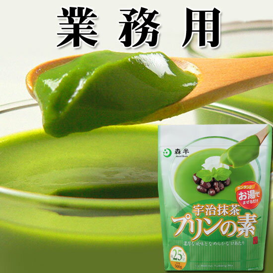  ̳  ץǡʥץߥåʴ 500g