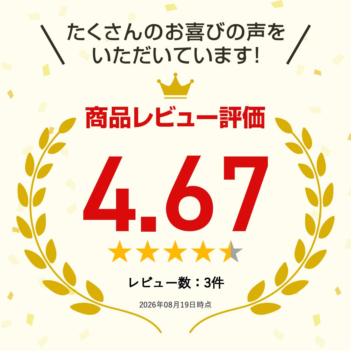 KENSHOABE メンズ 傘 高密度オーバーロック ワンポイント 大人用 傘 70cm グラス骨