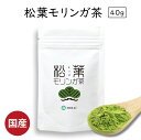 松葉茶 国産 無農薬【モリンガブレ