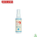 M【宅急便配送】ハピネスママ 抗菌 マスクスプレー 100ml 【M倉庫】