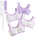 ジュニアブラ ブラジャー ハーフトップブラ 綿 コットン カップなし 女児 下着 インナー キッズ 女の子 ガールズ 肌着 レディース ノンワイヤー おしゃれ ...