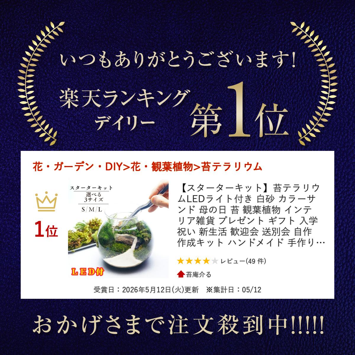 【スターターキット】苔テラリウム LEDライト付き 白砂 カラーサンド 母の日 苔 観...