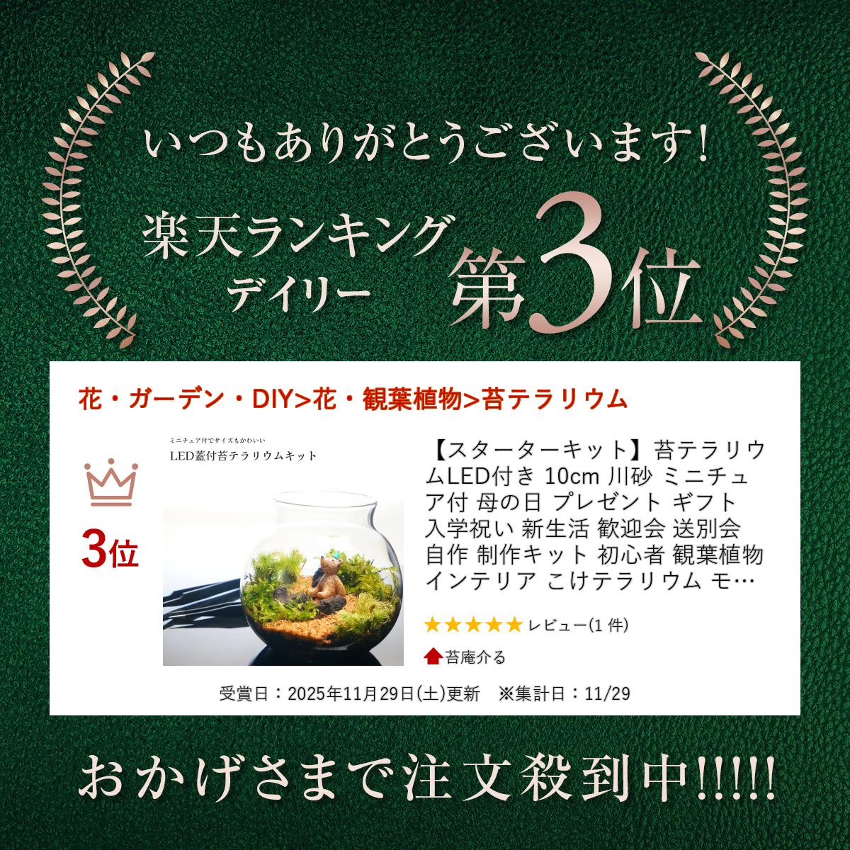 【スターターキット】苔テラリウム LED付き 10cm 川砂 ミニチュア付 母の日 プレゼント ギフト 入学祝い 新生活 歓迎会 送別会 自作 制作キット 初心者 観葉植物 インテリア こけテラリウム モステラリウム 苔盆栽 癒し おしゃれ 贈り物 グリーン 2
