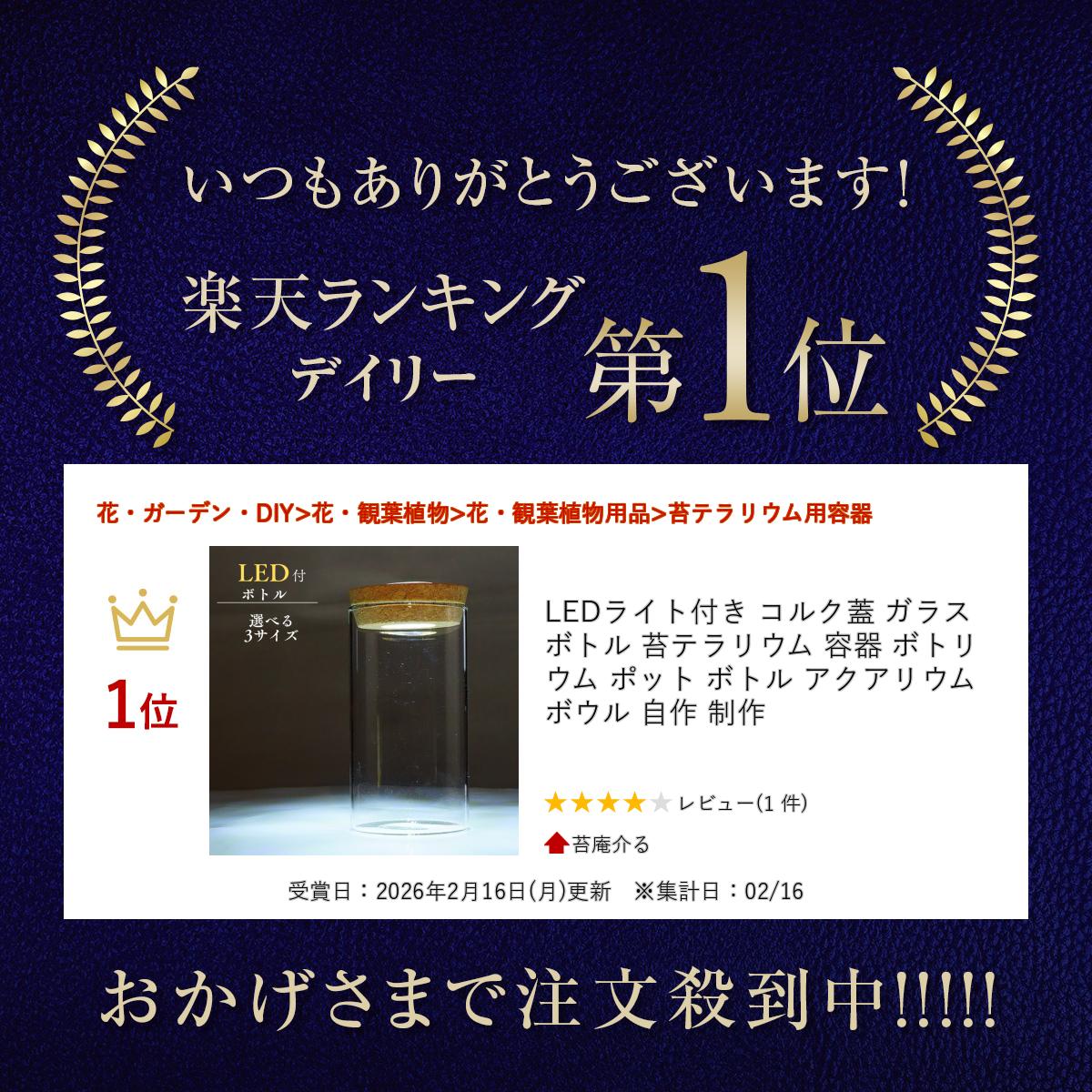 LEDライト付き コルク蓋 ガラスボトル 苔テラリウム 容器 ボトリウム ポット ボトル アクアリウム ボウル 自作 制作