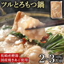 博多の名店 もつ鍋一藤 味噌 二人前 しめのちゃんぽん麺付 味蔵