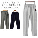 パジャマパンツ ルームウェア ボトムス 肌に優しい ロングパンツ 通気性 速乾 部屋着 メンズ 薄手 ウエストゴム リラックス 大きいサイズ カジュアル オール...