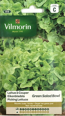 【フランスの野菜の種】Vilmorin社　レタス・Salad Bowl Verte サラダボールヴェータ【固定種】[V-918]