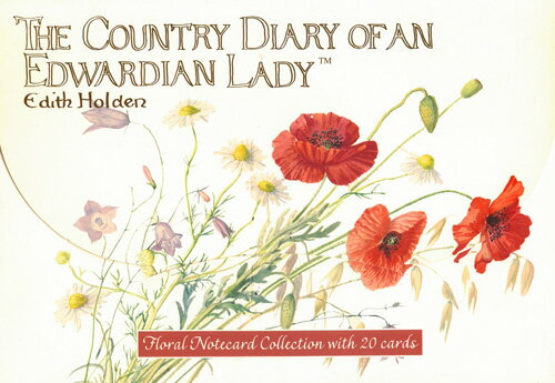 【カード&封筒セット】ポピーの2つ折りカード&封筒セット★イギリス製★(5柄×4セット)海外製品のため箱に潰れ・キズがあります。