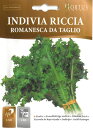 【イタリアの野菜の種】Hortus社 エンダイブ・ロマネスカ【固定種】BSOENS002 種まきから約60日で収穫期を迎えます。
