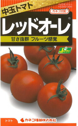 【カネコ種苗の野菜の種】 トマト レッドオーレ 中玉サイズ　甘さ抜群フルーツ感覚