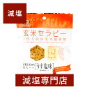 有機玄米セラピー うす塩味 アリモト 30g×2個セット | 減塩 減塩食品 塩分カット 食品 アリモト 玄米 グルテンフリー 米油 ごま油 黒ごま おやつ そ...