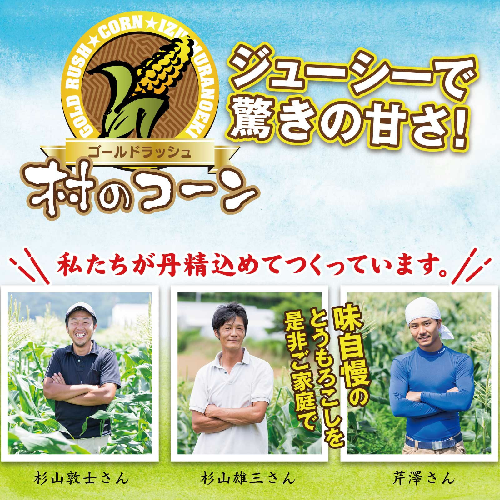 ≪エントリーで最大P10倍！≫ 今期解禁！送料込 鉄腕DASHで紹介★村のコーン とうもろ...