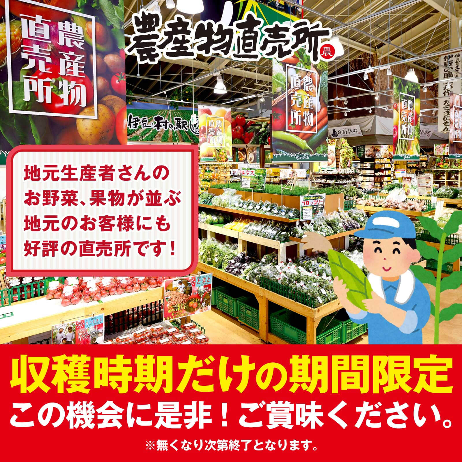 生でも食べれちゃう甘いとうもろこし 静岡産とうもろこし ゴールドラッシュ お中元 御中元 ギフト プレゼント 送料無料 鉄腕ダッシュ お中元ギフト 鉄腕dashで話題 鉄腕dashで紹介 村のコーン とうもろこし 2kg前後 6 8本入 朝採り 朝採れ お取り寄せ お取り寄せグルメ