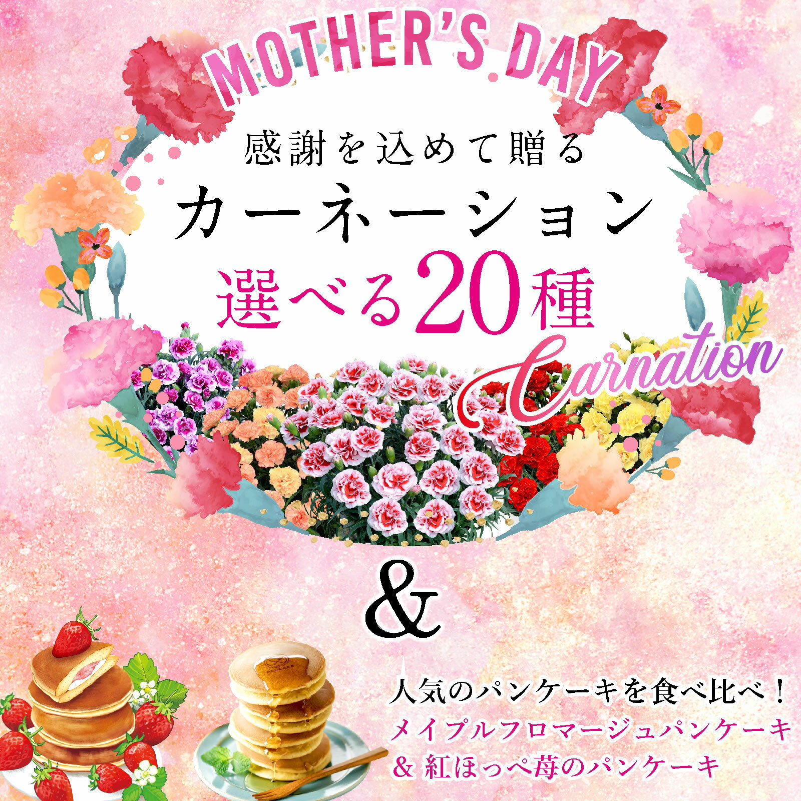 【クーポン利用で2,980円～】 母の日 プレゼント まだ間に合う 母の日ギフト ははの日2024 花 カーネーション 花鉢植え 花とお菓子 5号 鉢植え 生花 おしゃれ かわいい スイーツセット 送料無料 早割 スイーツ お菓子 早割りギフトセット 人気パンケーキ2個付き 伊豆村の駅