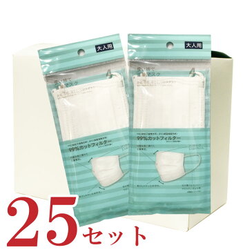 マスク 在庫あり 不織布3層フィルターマスク 100枚 耳が痛くなりにくい 明日らく 送料無料 ウイルス対策 コロナ対策 洗えるマスク 殺菌 風邪予防 除菌 大人用 サイズフリー 耳が痛くないマスク