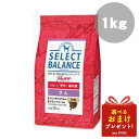 ZNgoX ps[   1kg SELECT BALANCE hbOt[h p hCt[h ۑY