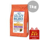 セレクトバランス スリム ラム 小粒 1kg SELECT BALANCE ドッグフード 犬用 ドライフード ダイエット