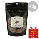 ムーラムーラトリーツ ドッグ カンガルー 40g Moora Moora おやつ ドッグフード 犬用 フリーズドライ【メール便可能】