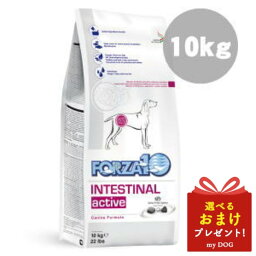 FORZA10 インテスティナルアクティブ 胃 腸の維持食事療法食 中粒 10kg ドッグフード 犬用ドライフード