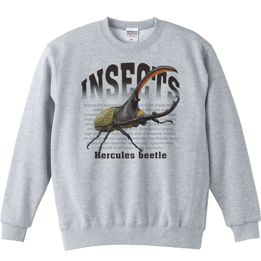 إ饯쥹 ֥ȡʺ꡼ˡȥ졼ʡ