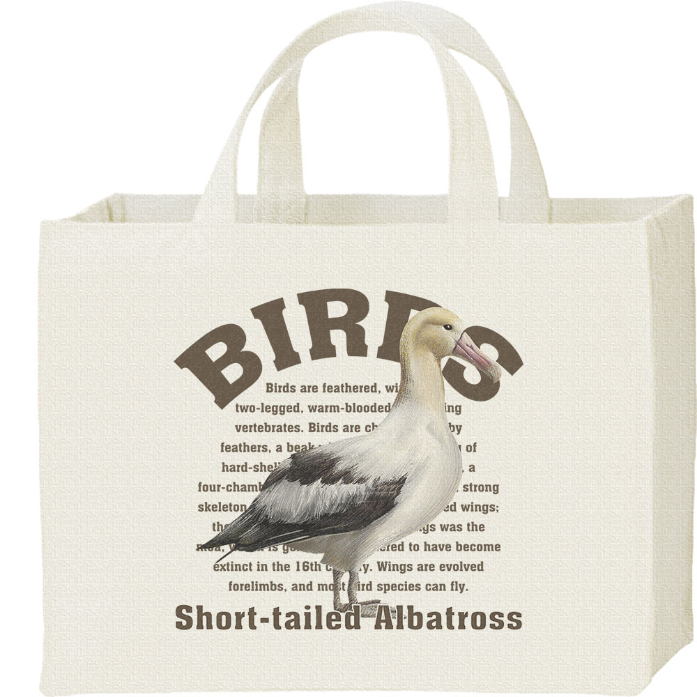 アホウドリ（鳥シリーズ）／キャンバスバッグ・スクエア