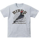 ドングリ キツツキ（鳥シリーズ）／半袖Tシャツ