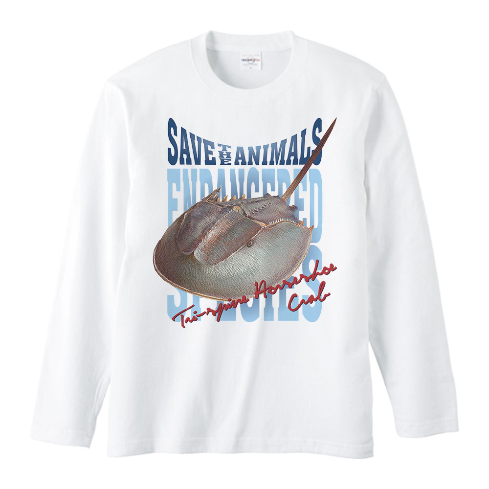 ���֥ȥ��ˡ����Ǵ���ưʪ�ˡ�ĹµT�����