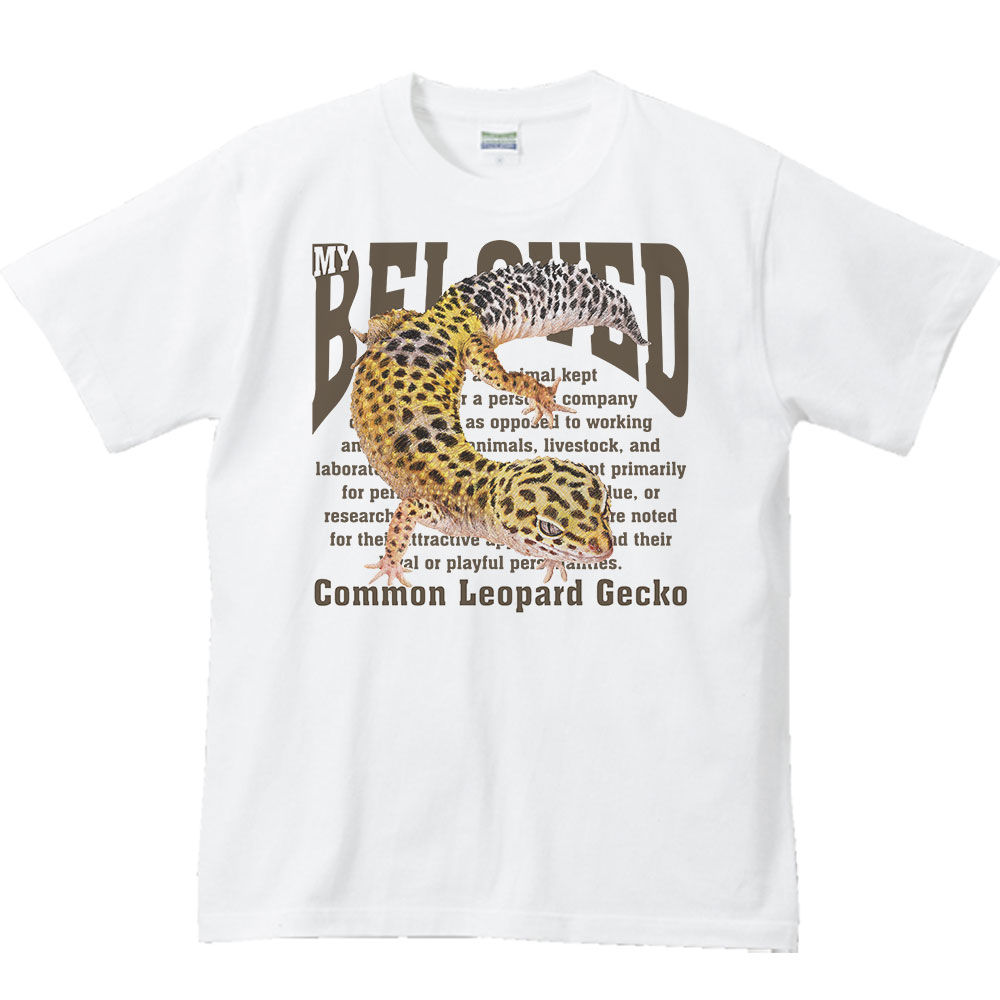 ヒョウモントカゲモドキ(ペット シリーズ)/半...の紹介画像2