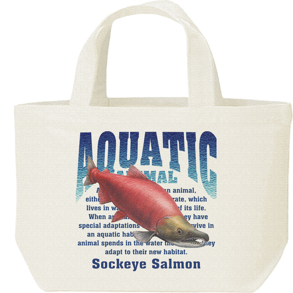 水生生物シリーズです。紅ザケ、紅サケ、紅シャケ、紅ジャケ、ベニサケ、ベニシャケ、ベニジャケ、サーモン　