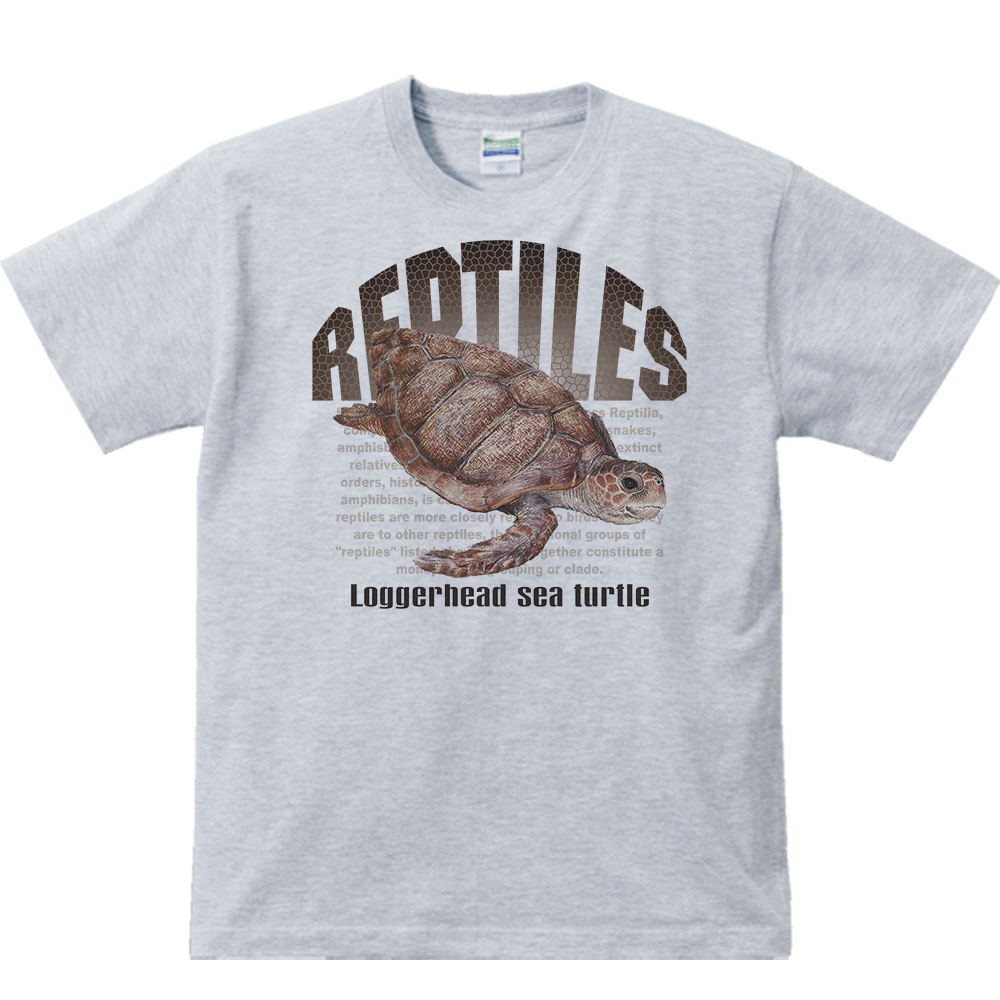 アカウミガメ（亀）爬虫類シリーズ／半袖Tシャツ 3