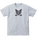 猫の顔・グレー（ブルー）ロシアンブルー／半袖Tシャツ