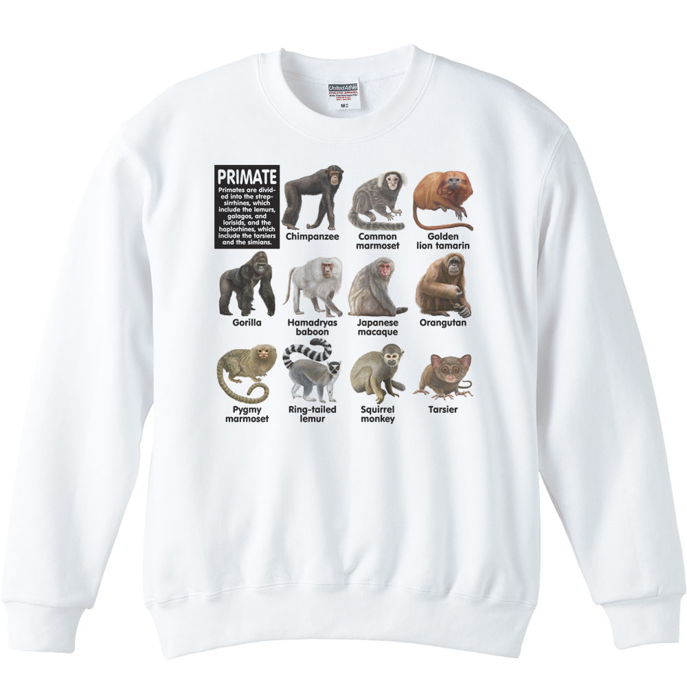 �������֤�������Ĺ��ˡ��ȥ졼�ʡ�