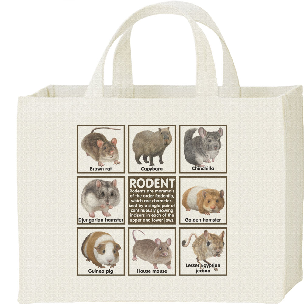 ネズミの仲間たち／キャンバスバッグ・スクエア