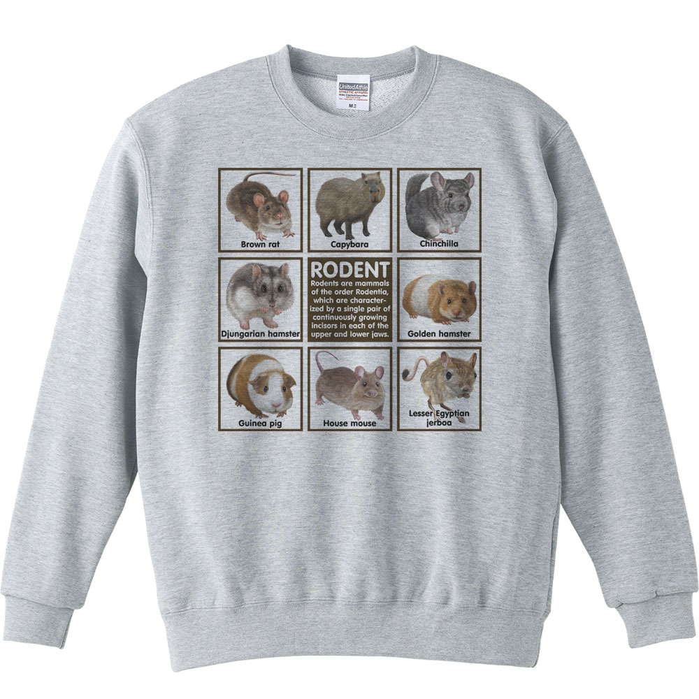 ネズミの仲間たち／トレーナー