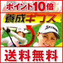 【即納・送料無料・ポイント10倍】飛ばし屋養成ギブスは賞金女王「横峯さくら」の秘密兵器!!ユニーク練習法の決定版の飛ばし屋養成ギブスで飛距離数段UP飛ばし屋養成ギブス M〜L【ベルトサイズ80〜105cm】 16dw09