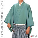 《 袴下きもの 5549 》 大人 緑 無地 袴 踊り 男踊り 衣装 単衣 キングサイズ 男踊り用 名入れ お揃い まとめ買い 送料無料
