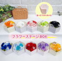 推し活「10色 フラワーステージBOX 」 プリザーブドフラワー 母の日 父の日 バレンタイン ホワイトデー 誕生日 結婚祝いクリスマス 推し色 推し活 推し ...