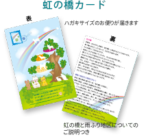 楽天市場 送料無料 虹の橋 Box プリザーブドフラワー フォトぶら 似顔絵 花 お供え お供え花 ペット 供養 花 メモリアルグッズ 名前入り 仏花 お花 ボックスフラワー 動物 犬 ねこ ギフト 四十九日 マイペットフラワーお花 プレゼント 虹 レインボー テレビ小道具 楽天市場 送料無料 虹の橋 Box プリザーブドフラワー フォトぶら 似顔絵 花 お供え お供え花 ペット 供養 花 メモリアルグッズ 名前入り 仏花 お花 ボックスフラワー 動物 犬 ねこ ギフト 四十九日 マイペットフラワーお花 プレゼント 虹 レインボー テレビ小道具