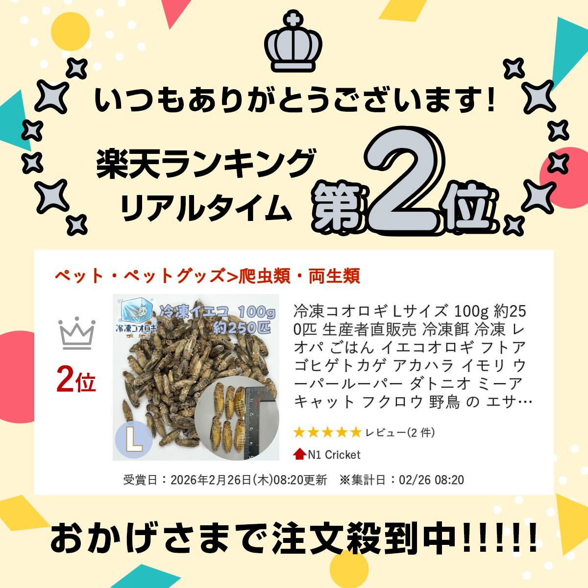 冷凍コオロギ Lサイズ 100g 約250匹 ...の紹介画像2