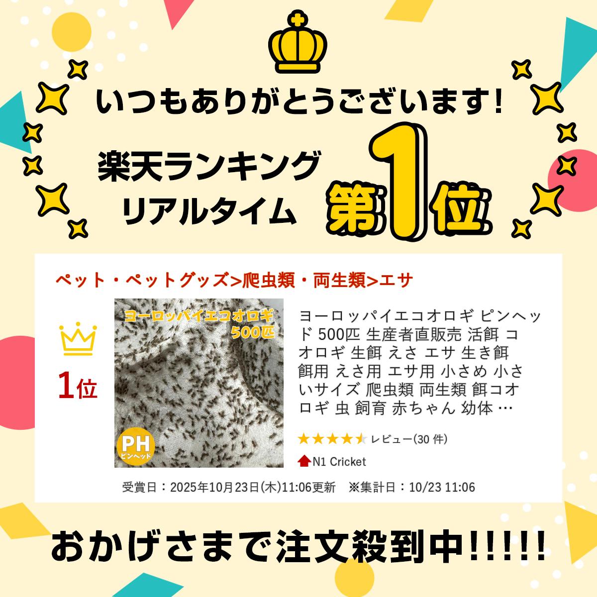 ヨーロッパイエコオロギ ピンヘッド 500匹 ...の紹介画像2