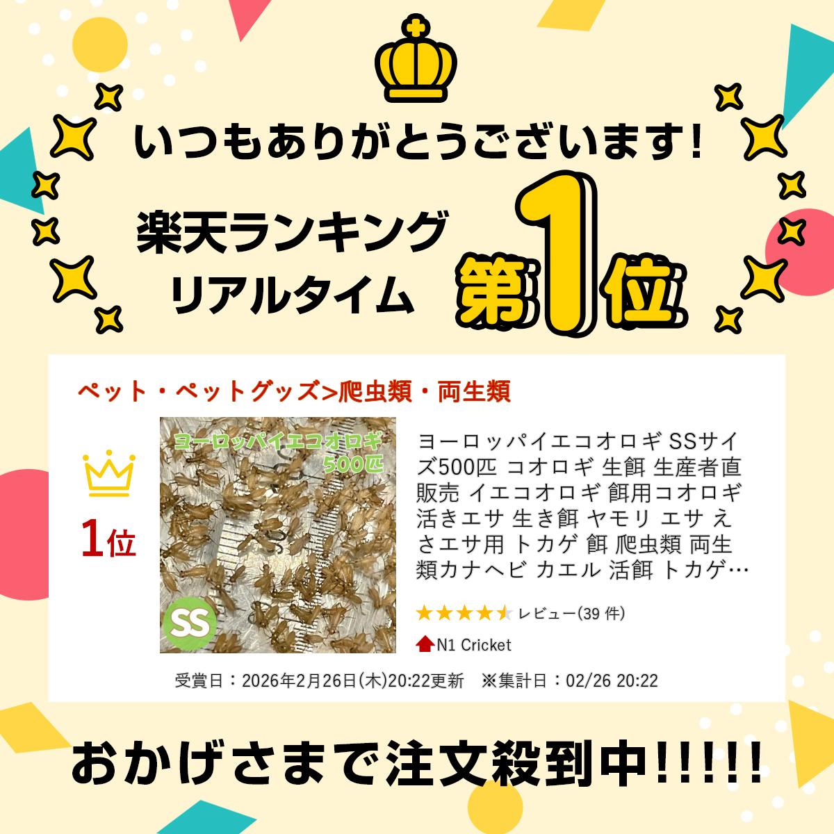 サンプル画像2