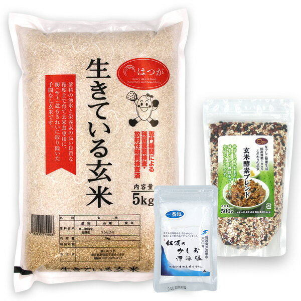 【玄米酵素ごはんセットB】( 玄米酵素ブレンド 500g + 天然塩50g + 生きている玄米 5kg ） 令和5年産 玄米 コシヒカ…