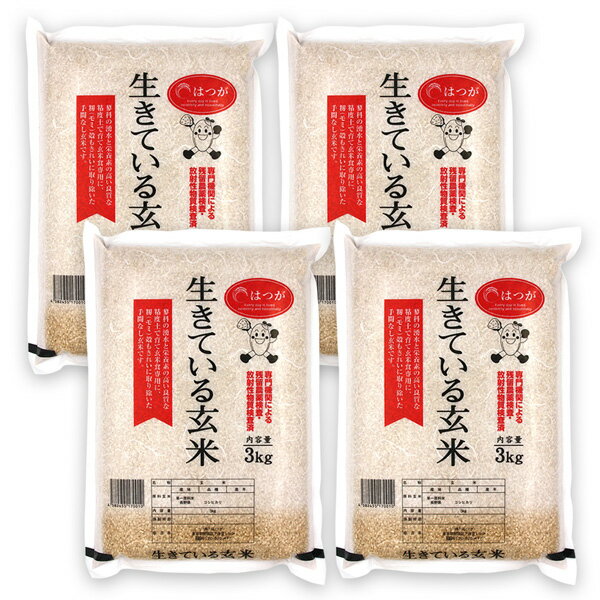 ( 生きている玄米 3kg × 4) 令和5年産 玄米 コシヒカリ 玄米 送料無料 国産 有機栽培 天日干し 自然乾燥 無農薬 無化学肥料 農薬不使用 有機 無添加 炊飯器 発芽玄米 酵素玄米 寝かせ玄米 なでしこ健康生活