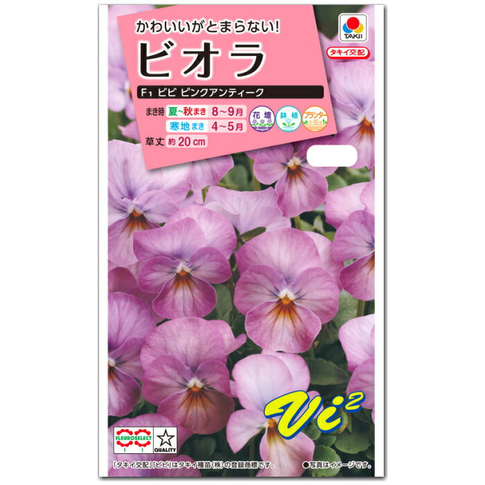 ビオラ 種子 ビビ ピンクアンティーク 0.2ml（育苗可能本数：およそ80本) Violaのサムネイル